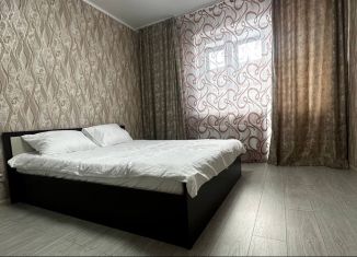 2-ком. квартира в аренду, 65 м2, Старый Оскол, микрорайон Степной, 32