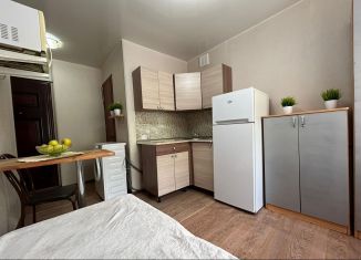 Продажа 1-ком. квартиры, 14.2 м2, Томск, Украинская улица, 19, Советский район