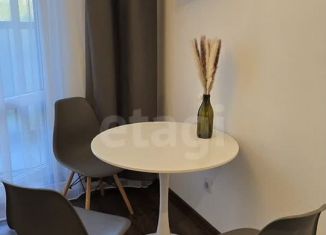 Продаю квартиру студию, 21.1 м2, Санкт-Петербург, муниципальный округ Озеро Долгое, Торфяная дорога, 15к3