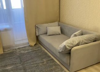 Сдается квартира студия, 26 м2, Мурино, проспект Авиаторов Балтики, 3к1, ЖК Девятый вал