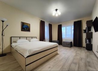 Сдам однокомнатную квартиру, 40 м2, Пенза, улица Антонова, 5Д