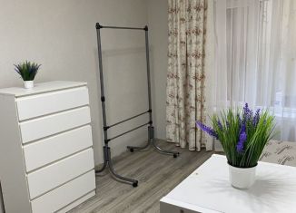 Продается 1-ком. квартира, 44 м2, Сочи, Соколиная улица, 9/1