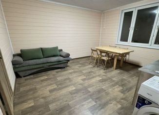 Дом в аренду, 53 м2, деревня Дальние Прудищи, улица Ленина, 70А