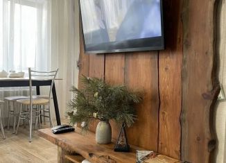 Аренда квартиры студии, 29 м2, поселок городского типа Черемушки, посёлок городского типа Черёмушки, 65