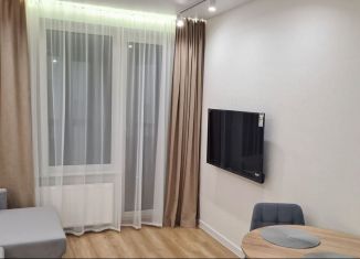 Квартира на продажу студия, 22.8 м2, Новосибирск, микрорайон Закаменский, 22, метро Берёзовая роща