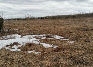 Продажа участка, 12 сот., деревня Головизнины