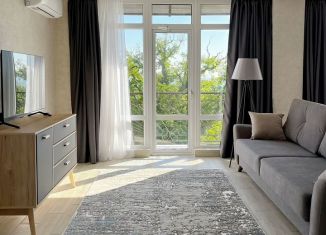 Двухкомнатная квартира в аренду, 65 м2, Сочи, Курортный проспект, 102/13, микрорайон Приморье