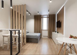 Аренда квартиры студии, 28 м2, Пермь, улица Куйбышева, 109А