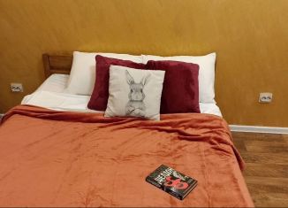 Сдаю в аренду 1-ком. квартиру, 50 м2, Рязань, Касимовское шоссе, 67к3