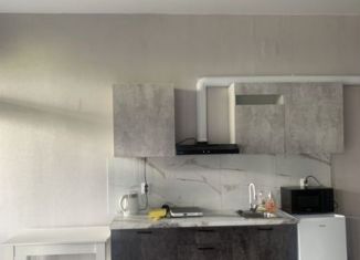 Сдаю квартиру студию, 34 м2, Сочи, Православная улица, 42/4, микрорайон Энергетик-Изумруд