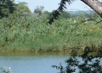 Продажа земельного участка, 4.3 сот., посёлок Пятихатки, Скифская улица