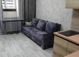 Квартира в аренду студия, 32 м2, Республика Башкортостан, Новоуфимская улица, 17