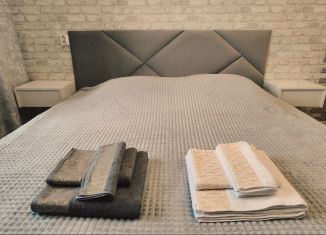 1-комнатная квартира в аренду, 33 м2, Мурманская область, улица Капитана Орликовой, 2