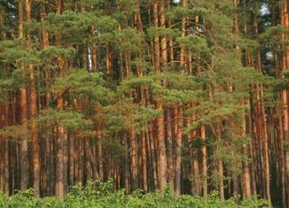 Продается земельный участок, 2900 сот., поселок Калинино