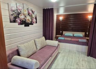 Сдам дом, 28 м2, село Элекмонар, Восточная улица, 57