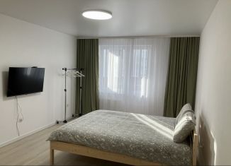 Аренда квартиры студии, 36 м2, Карелия, улица Дениса Тимашова, 6к4