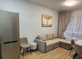 Сдам однокомнатную квартиру, 31.7 м2, Котельники, микрорайон Белая Дача, 27