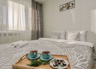 Сдается в аренду квартира студия, 26 м2, Удмуртия, Спартаковский переулок