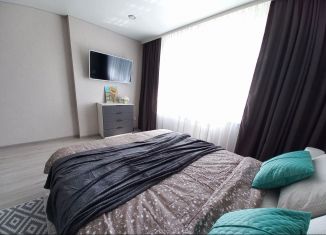 Сдается в аренду 1-комнатная квартира, 45 м2, Белгород, улица Калинина, 3