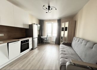 Аренда квартиры студии, 27 м2, Колпино, проспект Ленина, 60