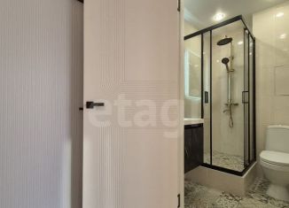 Продам квартиру студию, 25.6 м2, посёлок Шушары, Новгородский проспект, 2к1, ЖК Знание