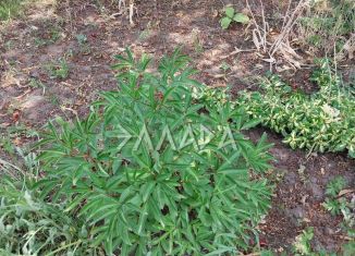 Продажа земельного участка, 5 сот., поселок Темерницкий