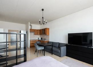 Квартира на продажу студия, 22.5 м2, Санкт-Петербург, Владимирский проспект, 15, метро Достоевская