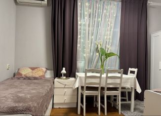 Аренда 2-комнатной квартиры, 40 м2, Сочи, улица Мира, 21А, микрорайон Центральный