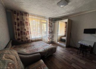 Продам квартиру студию, 30 м2, посёлок Шушары, территория Ленсоветовский, 23, ЖК Добрыня