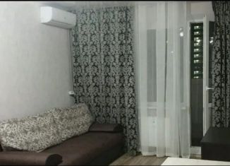 Сдаю в аренду квартиру студию, 24 м2, Ростов-на-Дону, переулок Андреева, 13, ЖК Суворовский