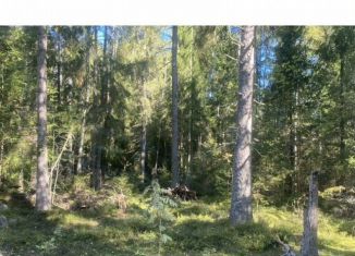 Продажа земельного участка, 22 сот., посёлок при железнодорожной станции Матросово, Тихая улица