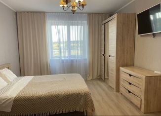 Сдача в аренду 1-ком. квартиры, 54 м2, деревня Мокшино, Солнечная улица, 94