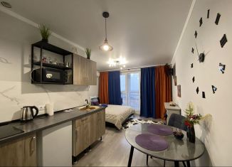 Аренда квартиры студии, 25 м2, Ростов-на-Дону, улица Ерёменко, ЖК Пятый Элемент