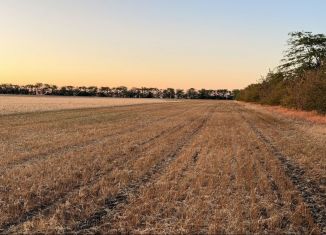 Продам участок, 492 сот., Новосельское сельское поселение