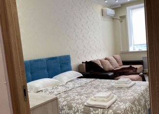 Однокомнатная квартира в аренду, 48 м2, Ставрополь, переулок Крупской, 29/3, микрорайон № 9