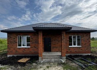 Продаю дом, 115 м2, Пенза, улица Надежды