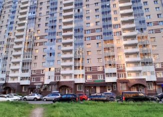 Продажа квартиры студии, 27.2 м2, посёлок Парголово, улица Михаила Дудина, 12