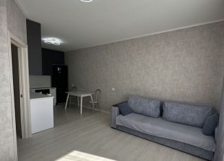 Сдача в аренду двухкомнатной квартиры, 68.2 м2, Верхняя Пышма, улица Александра Козицына, 16