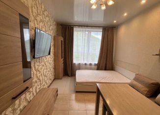 Сдается в аренду квартира студия, 25 м2, Люберцы, улица Юности, 13к1