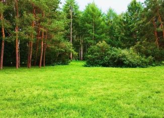 Продам участок, 66 сот., деревня Бородки