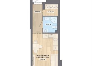 Продам квартиру студию, 24.9 м2, Екатеринбург, Чкаловский район