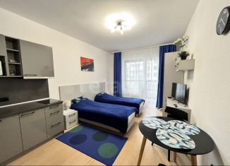 Сдача в аренду квартиры студии, 25 м2, Санкт-Петербург, 5-й Предпортовый проезд, 2, 5-й Предпортовый проезд