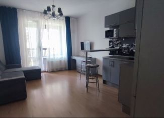 Квартира на продажу студия, 24.8 м2, Санкт-Петербург, метро Звёздная, 5-й Предпортовый проезд, 2