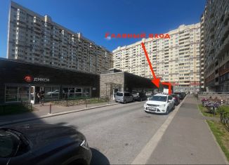 Продажа помещения свободного назначения, 273.6 м2, Санкт-Петербург, проспект Металлистов, 113, Калининский район