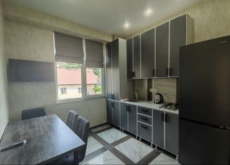 Сдаю в аренду однокомнатную квартиру, 30 м2, Сириус, Урожайная улица, 29А