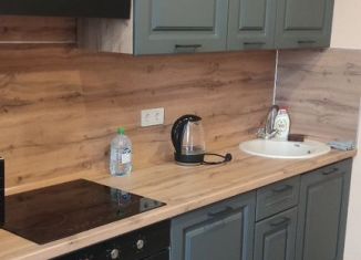 Сдам в аренду 1-комнатную квартиру, 37 м2, Ростов-на-Дону, Раздорская улица, 2Ас1