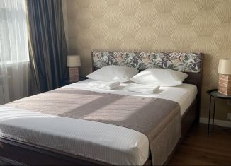 Сдам в аренду однокомнатную квартиру, 45 м2, Тверь, Затверецкая набережная, 36к1