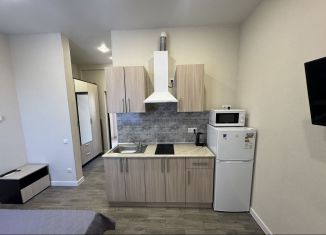 Сдам в аренду квартиру студию, 21 м2, Сочи, улица Щорса, 6, микрорайон Голубые Дали