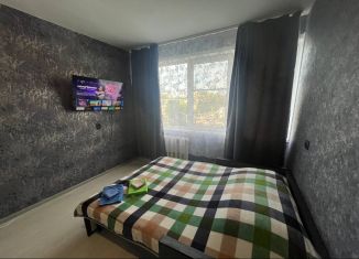 Сдача в аренду 1-комнатной квартиры, 35 м2, Кингисепп, улица Воровского, 15