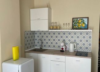 Продается квартира студия, 22 м2, Воронеж, улица Независимости, 84/5